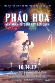 Pháo Hoa, Nên Ngắm Từ Dưới Hay Bên Cạnh