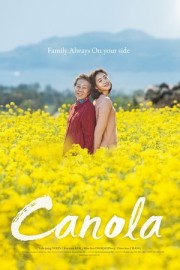 Hoa Cải Vàng - Canola 