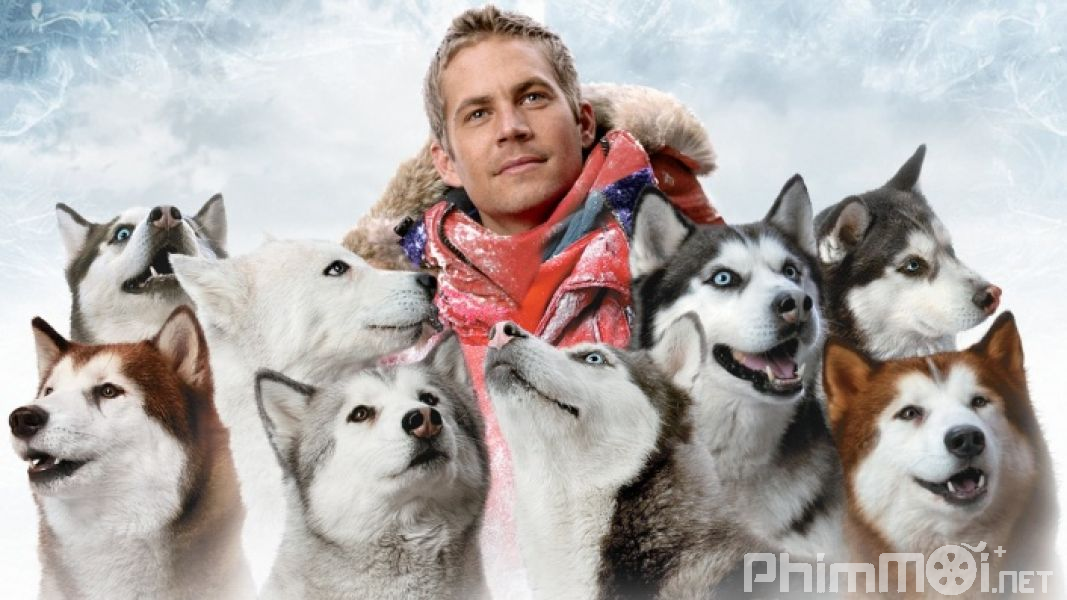 Âm Tám Độ - Eight Below